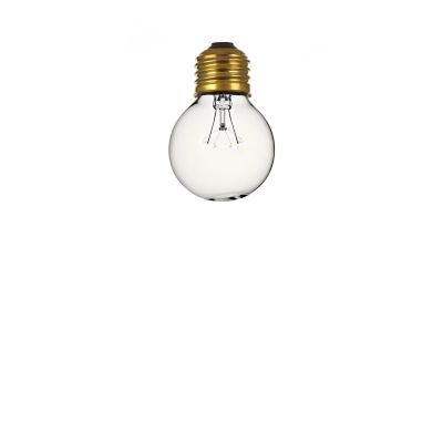 small globe bulb