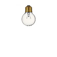 small globe bulb