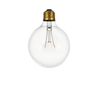 incandescent globe bulb incandescent globe bulb