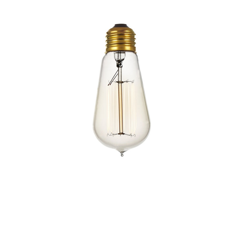 Incandescent Edison Bulb