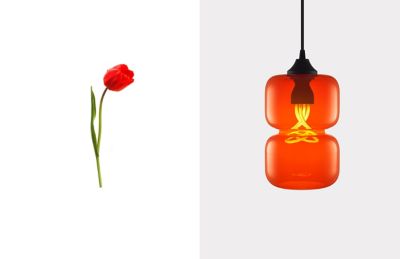 Pinch Modern Pendant in Tulip Glass