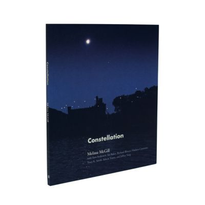 Support Constellation The Hudson Valley S Premier Outdoor Art