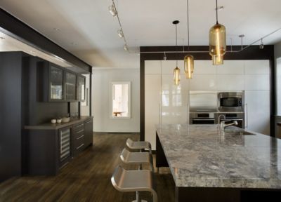 Designer Spotlight LDa Architecture & Interiors - LEED Certified Home