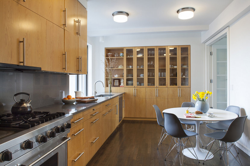 New York City apartment modern kitchen