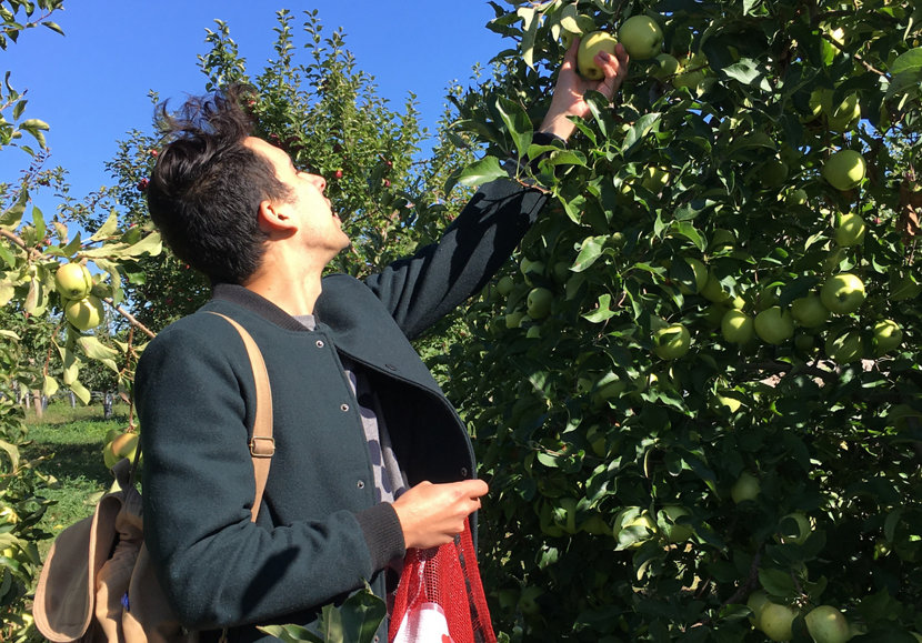 man apple picking on a farm
